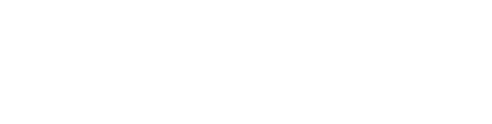 RevX Loyalty Gamification