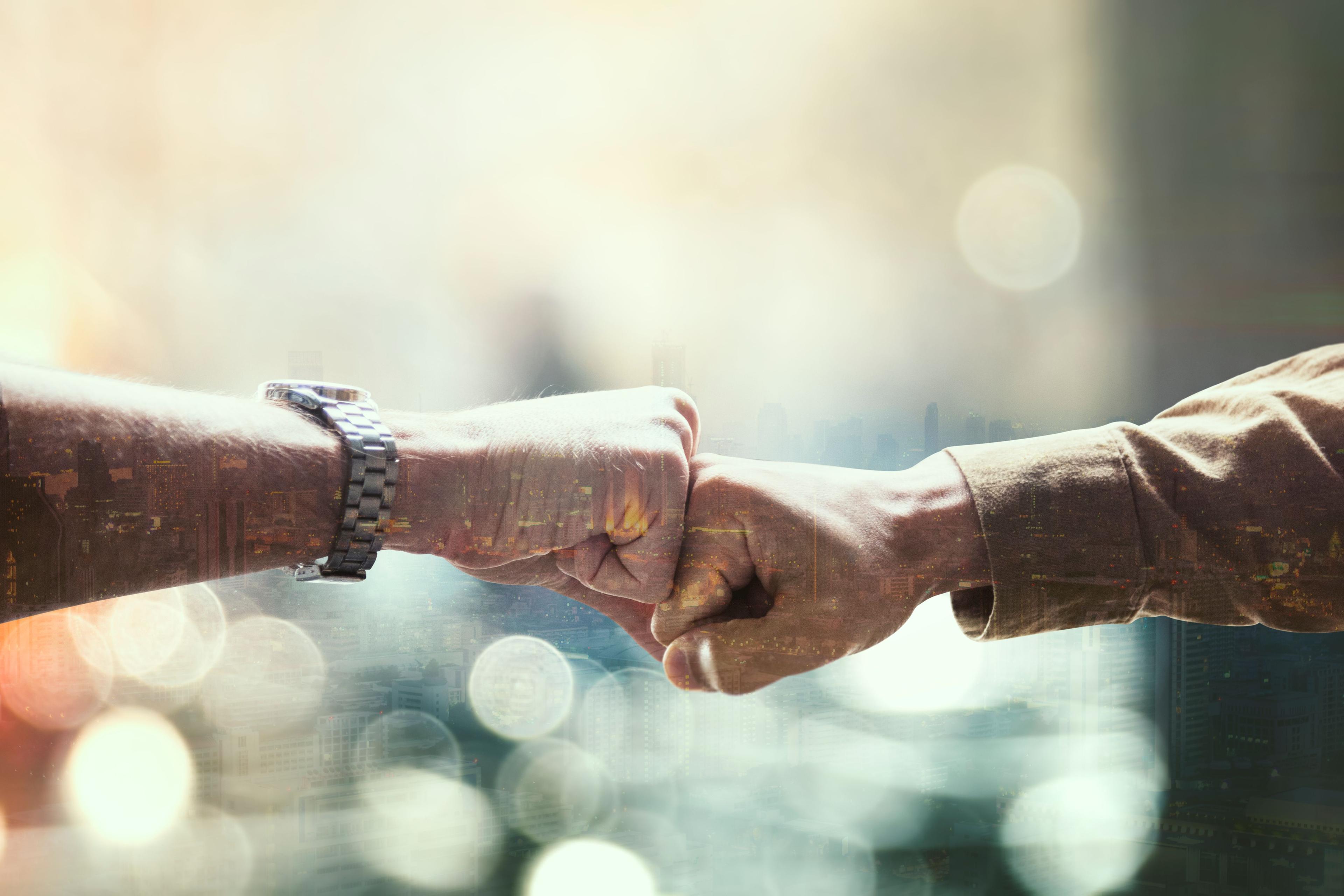 What Is a Coalition Loyalty Programme?